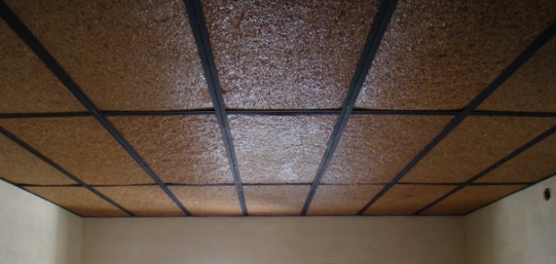 Material del futuro: Paneles de cascara de maní – El Puntano